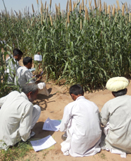 Milaap Projects