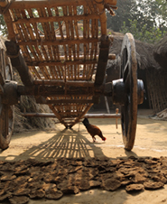 Our Projects, customized agricultural loans