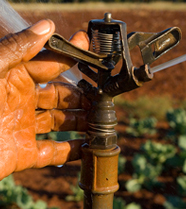 Milaap Projects, Innovation in agriculture